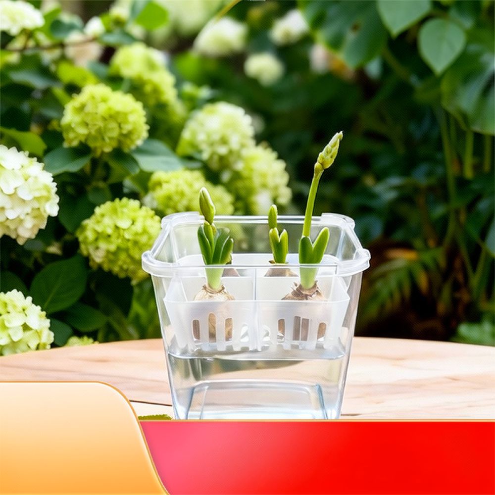 Hydroponische vaas voor tulpen - Vase Decor recensie en prijs