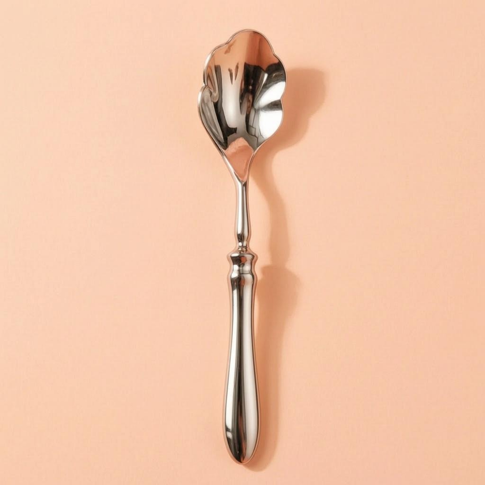 Geschaalde soeplepel, spiegelp - Decorative Mirror recensie en prijs